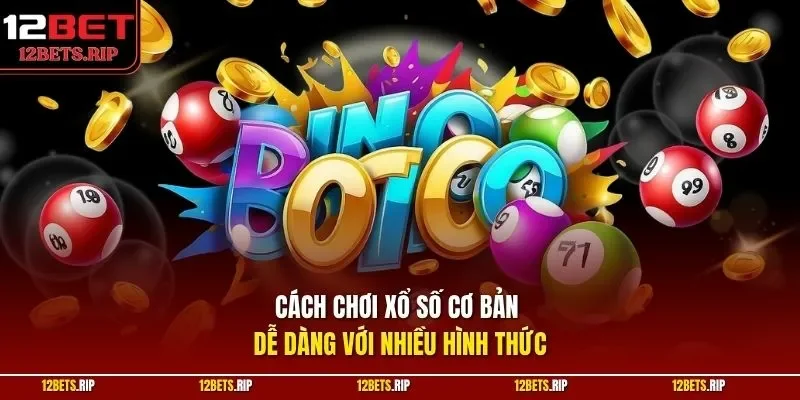 Cách chơi xổ số cơ bản dễ dàng với nhiều hình thức