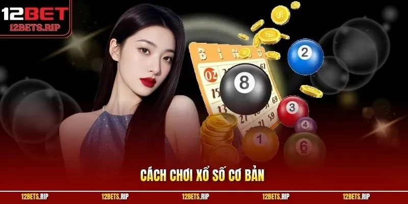 Cách chơi xổ số cơ bản