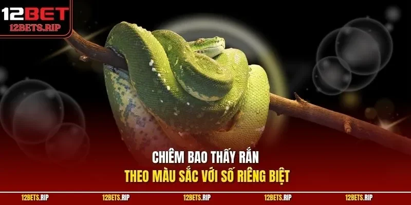Chiêm bao thấy rắn theo màu sắc với số riêng biệt