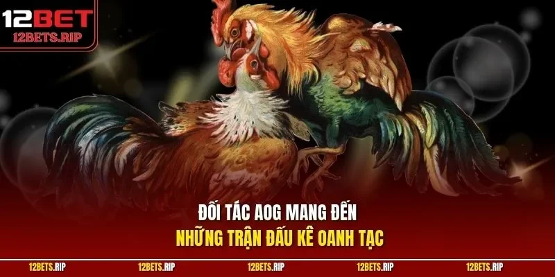 Đối tác AOG mang đến những trận đấu kê oanh tạc