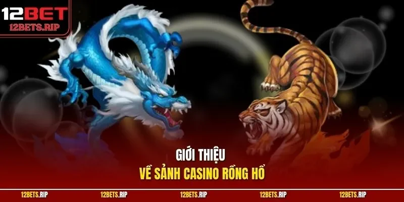 Giới thiệu về sảnh casino Rồng Hổ