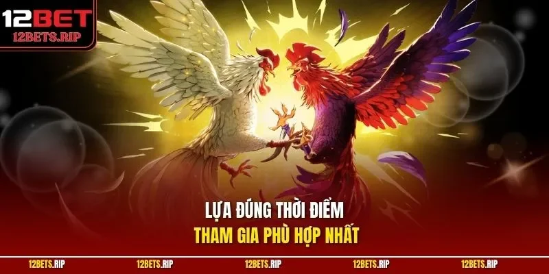 Lựa đúng thời điểm tham gia phù hợp nhất