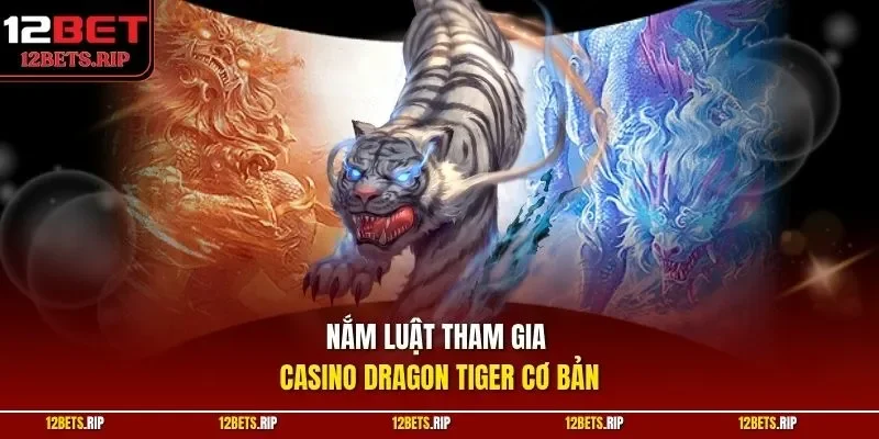 Nắm luật tham gia casino dragon tiger cơ bản 