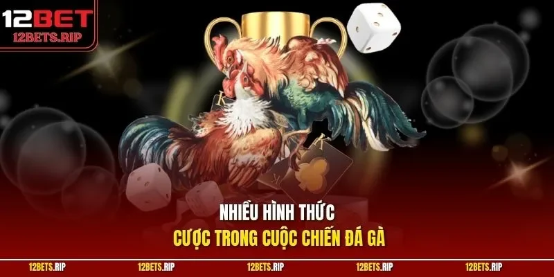 Nhiều hình thức cược trong cuộc chiến đá gà