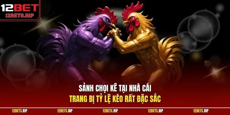 Sảnh chọi kê tại nhà cái trang bị tỷ lệ kèo rất đặc sắc