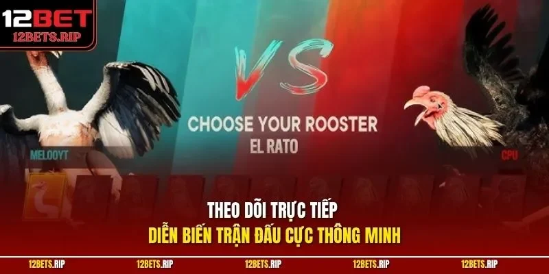 Theo dõi trực tiếp diễn biến trận đấu cực thông minh