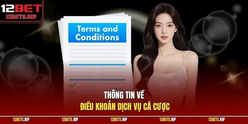 Thông tin về điều khoản dịch vụ cá cược