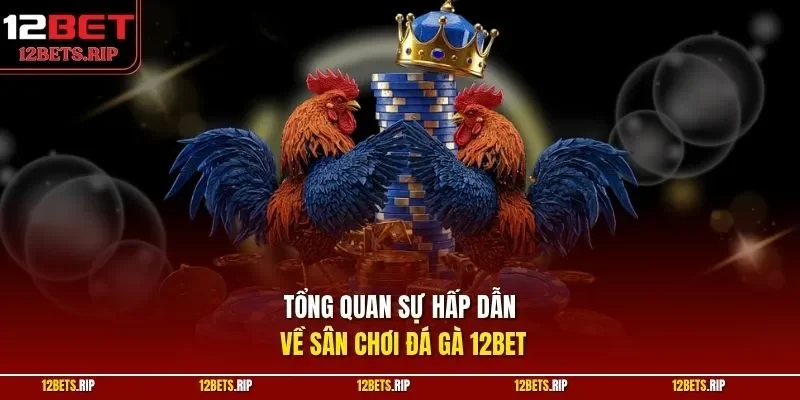 Tổng quan sự hấp dẫn về sân chơi đá gà 12BET