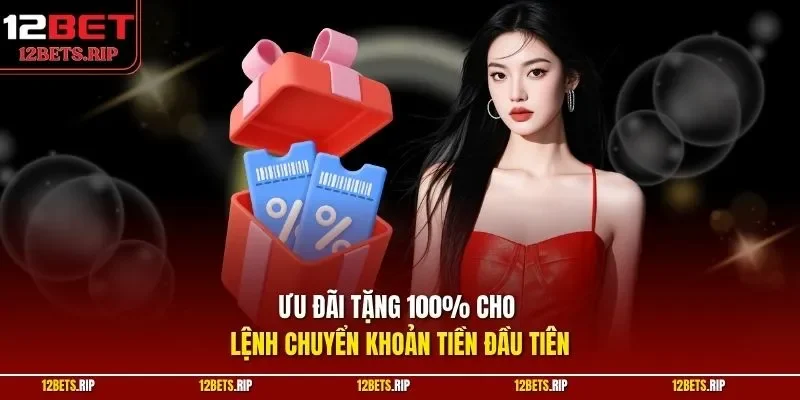 Ưu đãi tặng 100% cho lệnh chuyển khoản tiền đầu tiên
